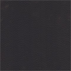 Delta Vinyl Upholstery Fabric